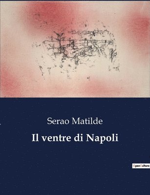 Il ventre di Napoli 1