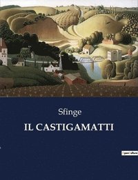 bokomslag Il Castigamatti