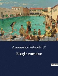 bokomslag Elegie romane
