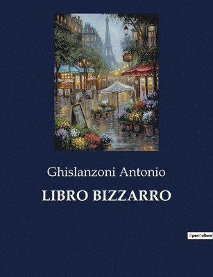 bokomslag Libro Bizzarro