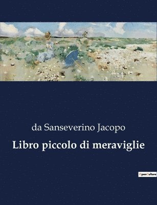 bokomslag Libro piccolo di meraviglie