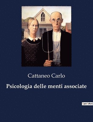 bokomslag Psicologia delle menti associate