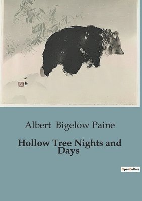 bokomslag Hollow Tree Nights and Days