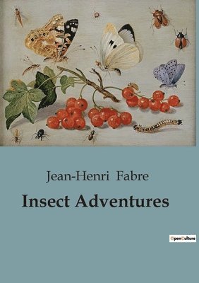 Insect Adventures