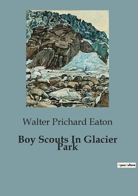 Boy Scouts In Glacier Park 1