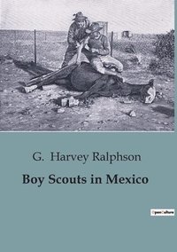 bokomslag Boy Scouts in Mexico