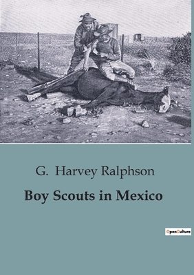 bokomslag Boy Scouts in Mexico