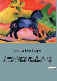 bokomslag Bunny Brown and His Sister Sue and Their Shetland Pony
