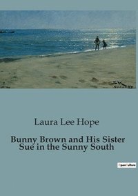bokomslag Bunny Brown and His Sister Sue in the Sunny South