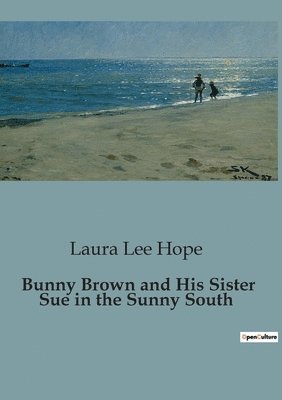 bokomslag Bunny Brown and His Sister Sue in the Sunny South