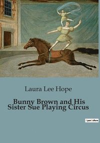 bokomslag Bunny Brown and His Sister Sue Playing Circus