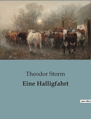 Eine Halligfahrt 1