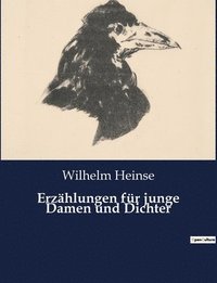 bokomslag Erzählungen für junge Damen und Dichter