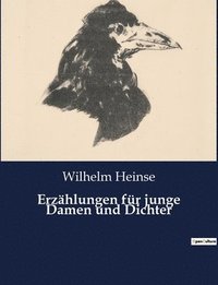 bokomslag Erzahlungen fur junge Damen und Dichter