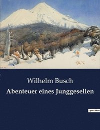 bokomslag Abenteuer eines Junggesellen