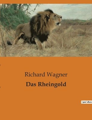 bokomslag Das Rheingold