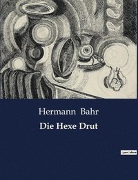 bokomslag Hexe Drut