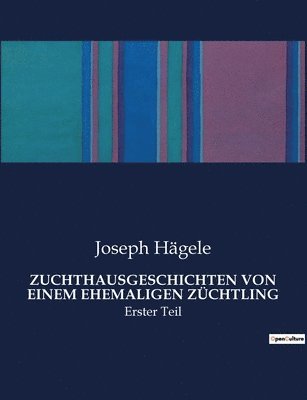 bokomslag Zuchthausgeschichten Von Einem Ehemaligen Züchtling