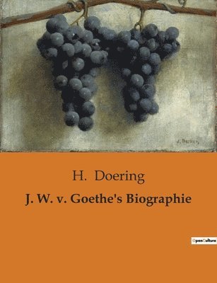 bokomslag J. W. v. Goethe's Biographie