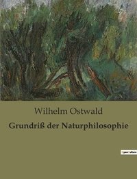 bokomslag Grundriss der Naturphilosophie