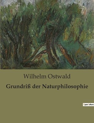 bokomslag Grundriss der Naturphilosophie