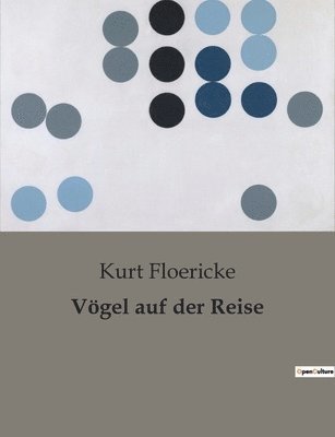 bokomslag Vögel auf der Reise