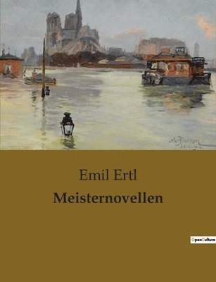 bokomslag Meisternovellen