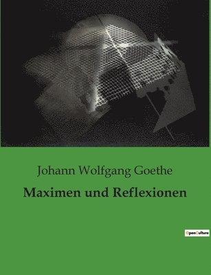 Johann Wolfgang Goethe - Maximen und Reflexionen, Häftad