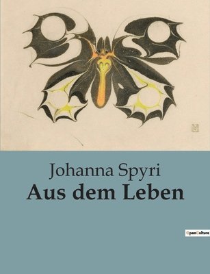 Johanna Spyri - Aus dem Leben, Häftad