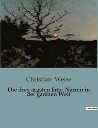 bokomslag drey ärgsten Ertz- Narren in der gantzen Welt