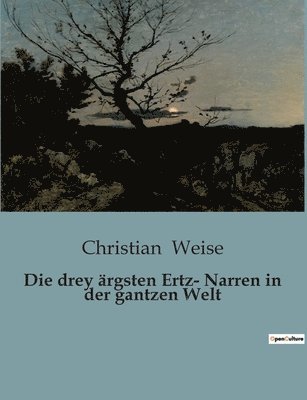 bokomslag drey ärgsten Ertz- Narren in der gantzen Welt
