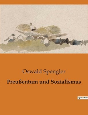 bokomslag Preussentum und Sozialismus