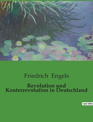 Revolution und Konterrevolution in Deutschland 1