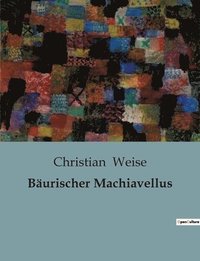bokomslag Bäurischer Machiavellus