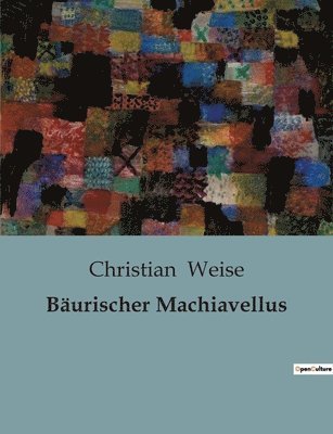 bokomslag Bäurischer Machiavellus