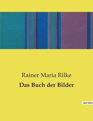 bokomslag Das Buch der Bilder