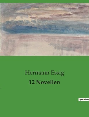 Hermann Essig - 12 Novellen, Häftad