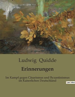 Ludwig Quidde - Erinnerungen, Häftad