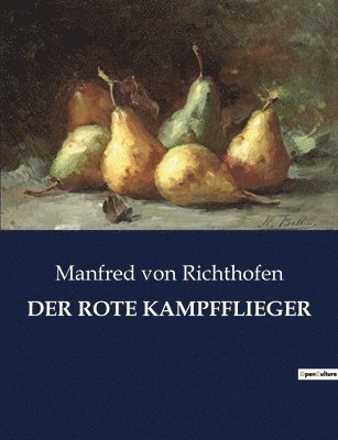 Rote Kampfflieger