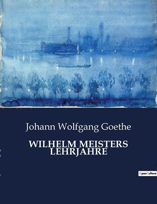 Johann Wolfgang Goethe - Wilhelm Meisters Lehrjahre, Häftad