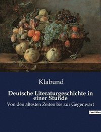 bokomslag Deutsche Literaturgeschichte in einer Stunde