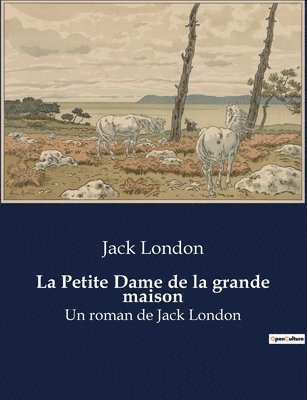 La Petite Dame de la grande maison 1