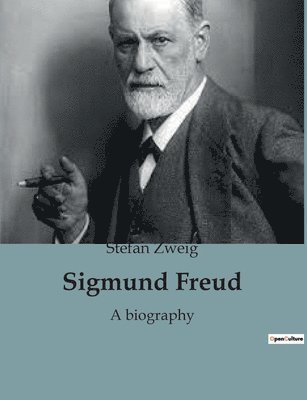 bokomslag Sigmund Freud: A biography