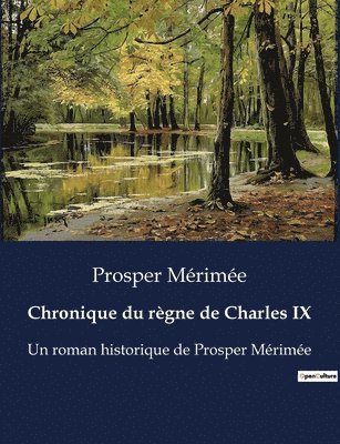 bokomslag Chronique du règne de Charles IX