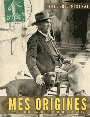 bokomslag Mes origines - Mémoires et récits
