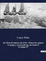 bokomslag Au Pole et autour du Pole - Dans les glaces - Voyages, explorations, aventures - Volume 17