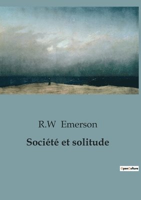 bokomslag Société et solitude
