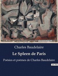 bokomslag Le Spleen de Paris