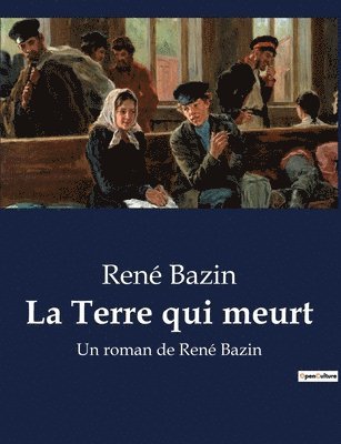 bokomslag Terre qui meurt