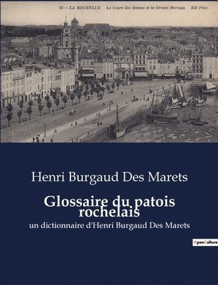 bokomslag Glossaire du patois rochelais